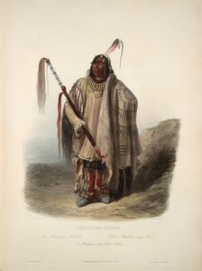 Minatarre lub Indianin z dużym brzuchem